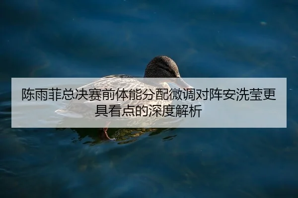 陈雨菲总决赛前体能分配微调对阵安洗莹更具看点的深度解析
